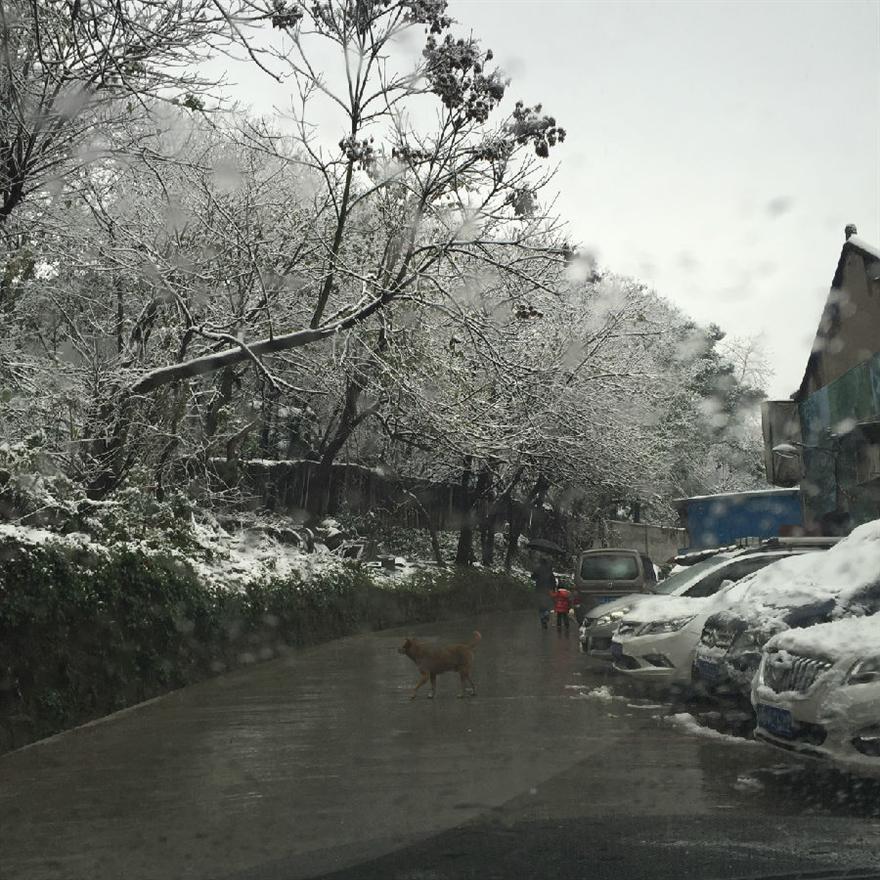 濾油機濾芯_重慶下雪啦